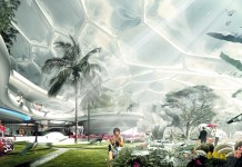 The Anthropocene and the Future of Nature