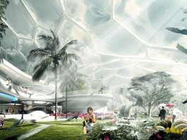 The Anthropocene and the Future of Nature