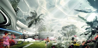 The Anthropocene and the Future of Nature