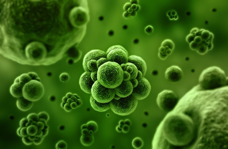 Microbiomes and Microbiomics